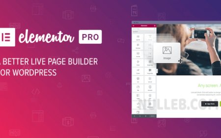 Elementor PRO – WordPress Page Builder (Nulled)