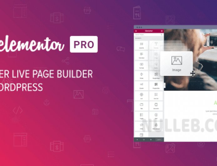 Elementor PRO – WordPress Page Builder (Nulled)