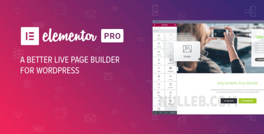 Elementor PRO – WordPress Page Builder (Nulled)